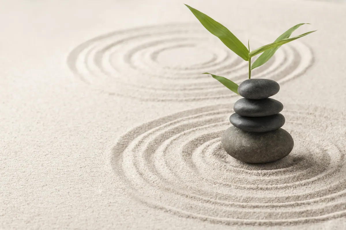 Séance d'accompagnement avec un coach bien-être