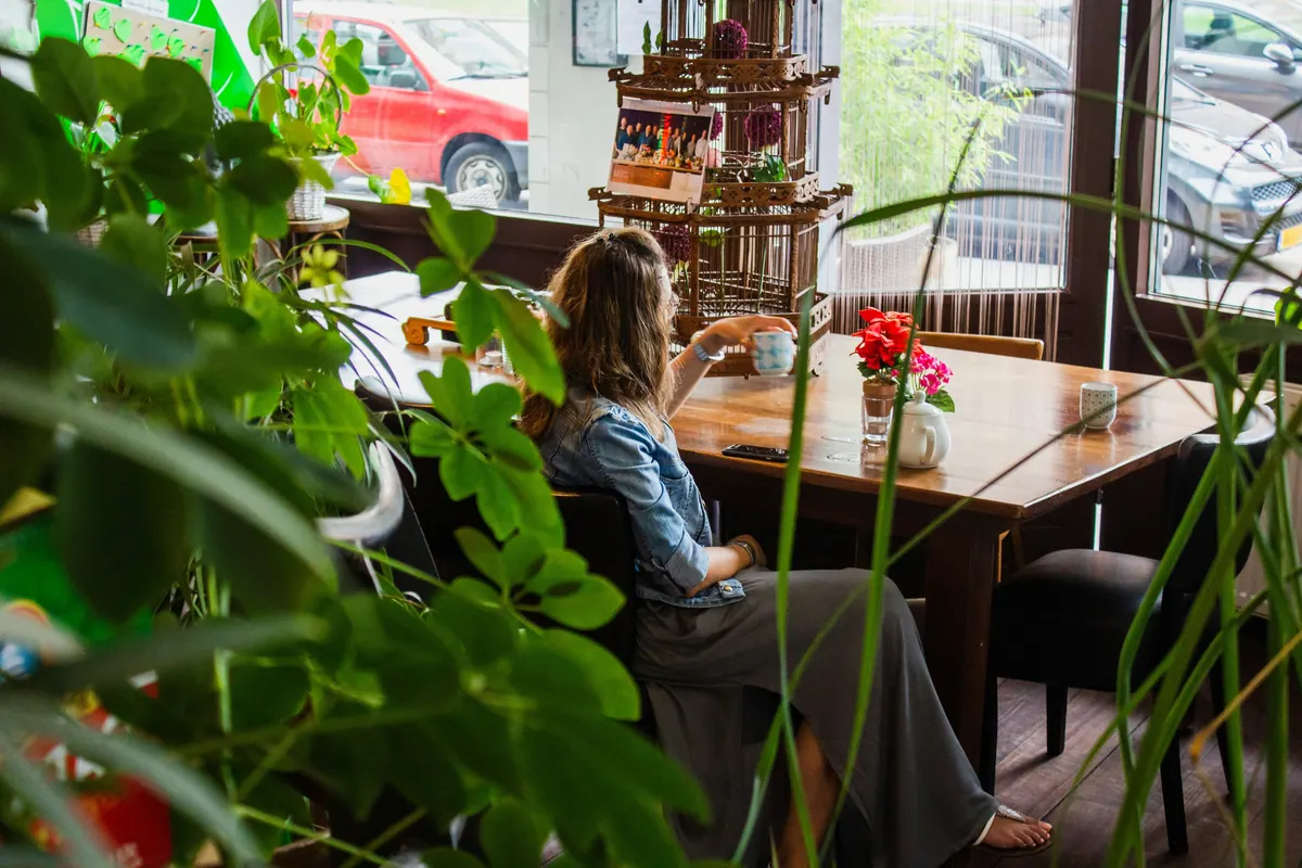 Plantes médicinales et alimentation naturelle