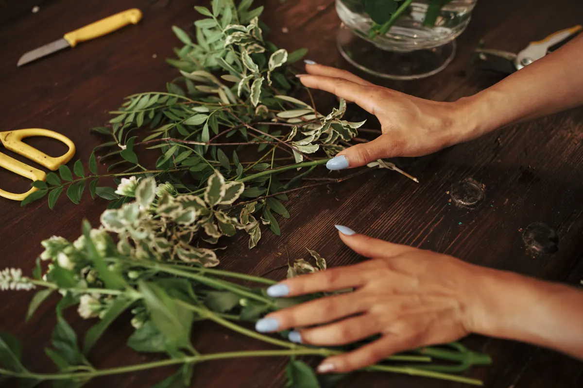 Plantes médicinales séchées et tisane