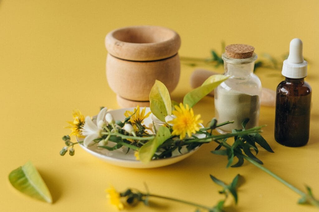 7 herbes médicinales bonnes pour la santé