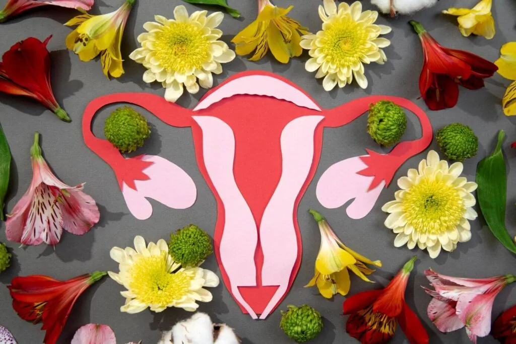 le cycle féminin et la naturopathie : conseils pour votre santé