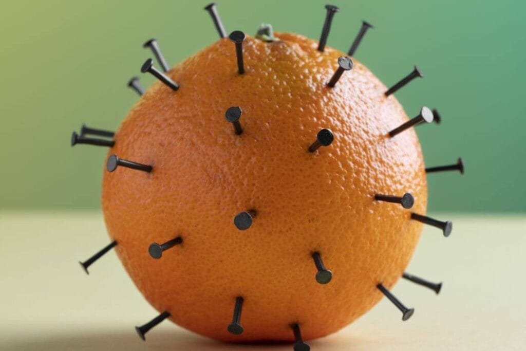 Découvrez comment renforcer vos défenses immunitaires naturellement grâce à la naturopathie. Alimentation, plantes, sommeil, gestion du stress : nos conseils d'expert pour booster votre immunité et prévenir les infections saisonnières. Guide complet en 10 étapes.